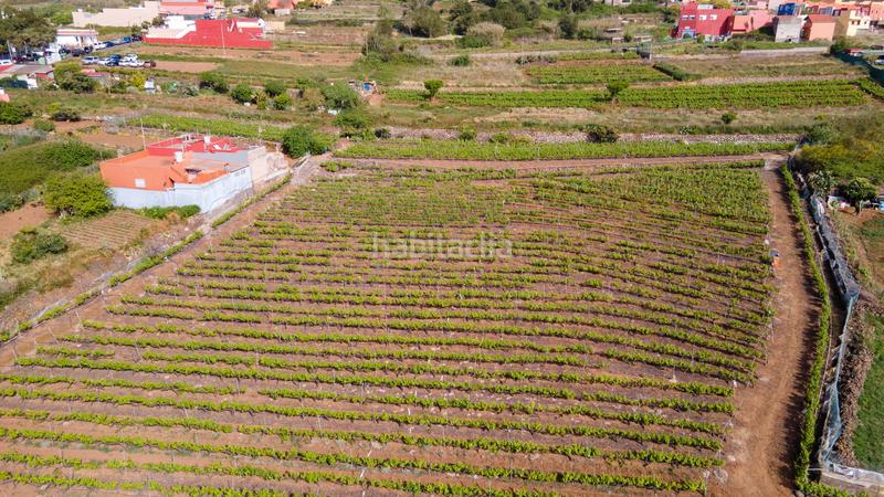 Foto 82cb8b09-207e-414e-94e9-1300df70c6ea. Casa en juan perez en Tacoronte - los naranjeros Tacoronte