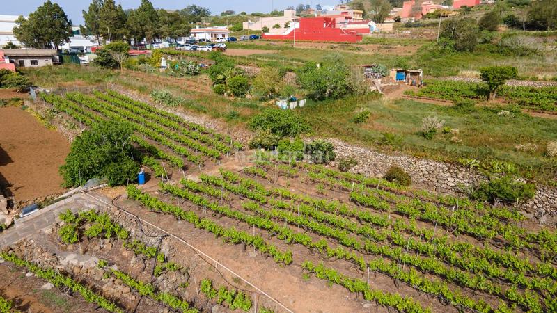 Foto 92f0773a-ba40-4ff6-aa68-f9df77c6bdde. Casa en juan perez en Tacoronte - los naranjeros Tacoronte