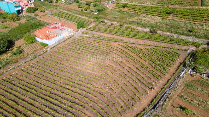 Foto a85c2895-dbf4-414c-b2a1-7d29d8295998. Casa en juan perez en Tacoronte - los naranjeros Tacoronte