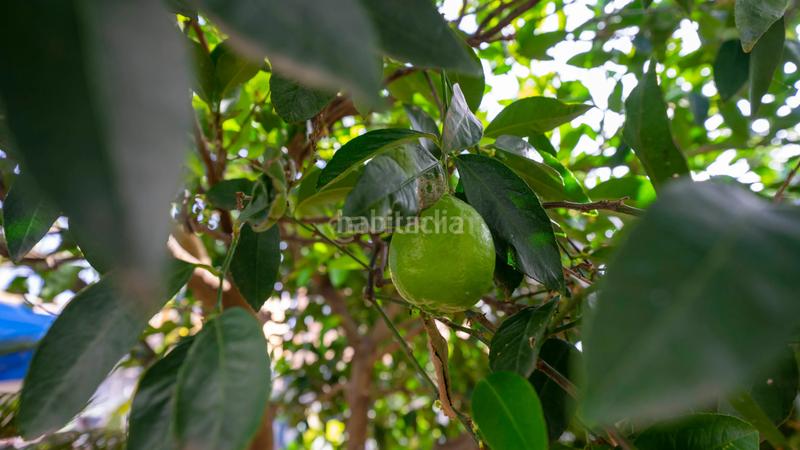 Foto c9bcf048-dc35-4a3d-9381-56cb4e868981. Casa en juan perez en Tacoronte - los naranjeros Tacoronte