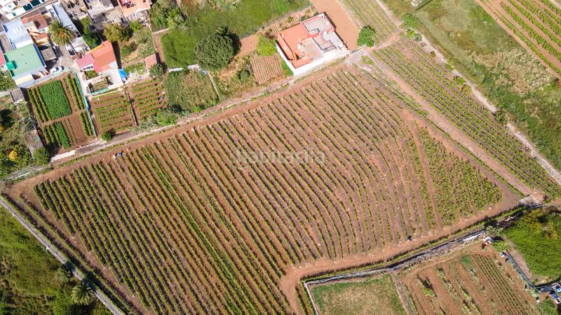 Foto d32cb740-2f44-4c91-a392-4ca6f3cb4887. Casa en juan perez en Tacoronte - los naranjeros Tacoronte