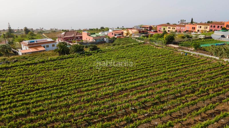 Foto eae06a2a-3b32-49ac-bb66-62b3c8033ba4. Casa en juan perez en Tacoronte - los naranjeros Tacoronte