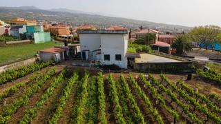 Haus in Juan perez