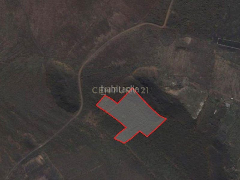 Foto c97c2450-90a0-49b8-9546-2932109c799d. Finca rústica a paraje de valichuelo 376 a Haría pueblo Haría