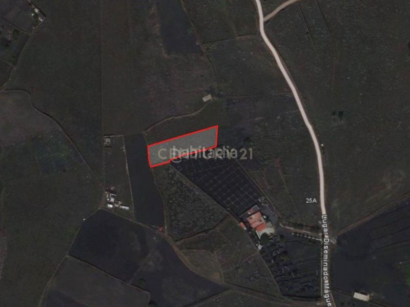 Foto ba2aa1e5-5049-49a6-98c6-2e4f5e357e84. Finca rústica a paraje de breñitas 549 a Haría pueblo Haría
