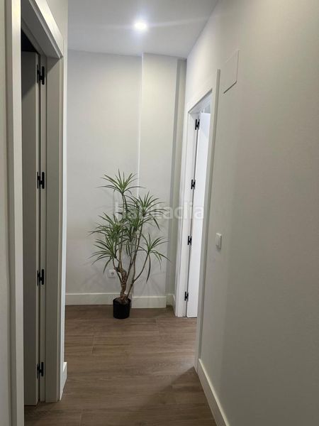 Foto a8e0ff79-345b-4d22-a57c-2efa4494a50b. Pis amb calefacció a Paseo Independencia Zaragoza