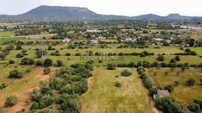 Foto 1921242c-2f2a-4bd7-881b-39a277926e64. Terreno residencial en Llucmajor interior Llucmajor