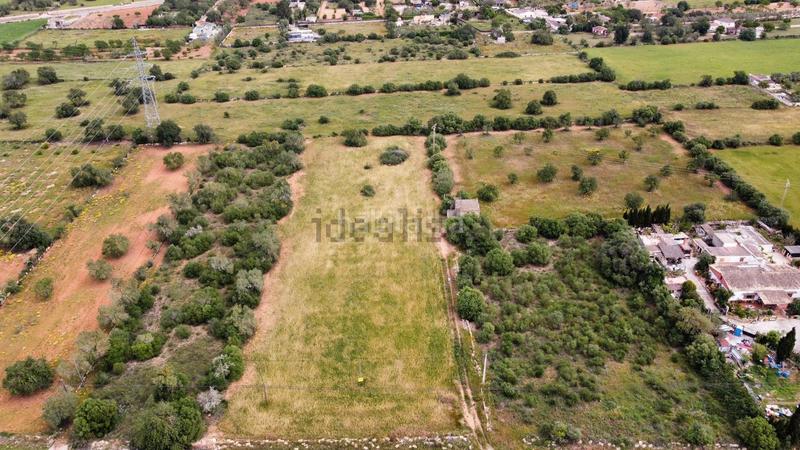 Foto 1cda05e6-76e7-49e4-a7c2-ce1b4aaa90ae. Terreno residencial en Llucmajor interior Llucmajor