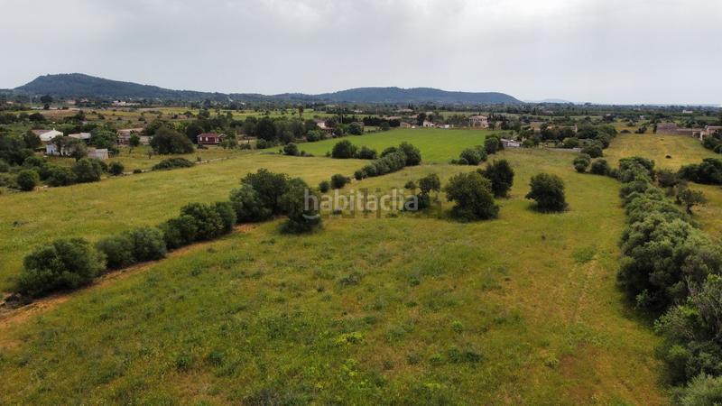 Foto 504926f8-c69b-454e-b9d9-760095c53aaa. Terreno residencial en Llucmajor interior Llucmajor