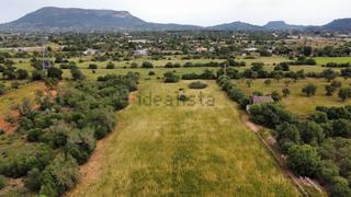 Terreny residencial a Llucmajor Interior