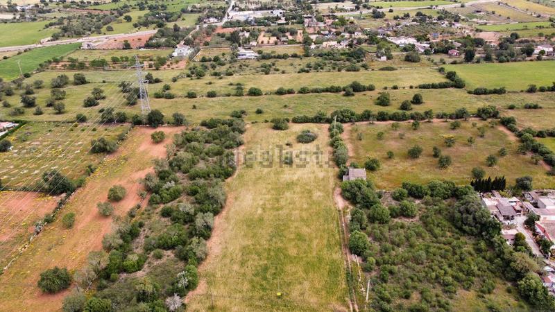 Foto 7261872f-9248-4022-81fc-d67454aaa4ff. Terreno residencial en Llucmajor interior Llucmajor
