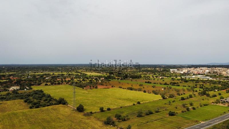 Foto b33ba66a-3fff-4626-9e98-67dcc98f4cf2. Terreno residencial en Llucmajor interior Llucmajor