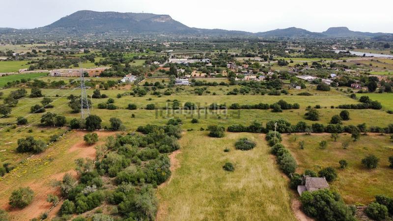 Foto bc4ee361-8c97-4b5e-8b33-a54552d733ae. Terreno residencial en Llucmajor interior Llucmajor