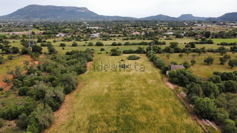 Foto 71f75750-ebba-4c10-8576-c5fbe3c10a9a. Residential plot in Llucmajor interior Llucmajor