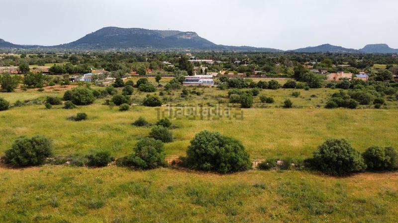 Foto 8311b3ea-cac7-44e2-bae5-681f53561f31. Residential plot in Llucmajor interior Llucmajor