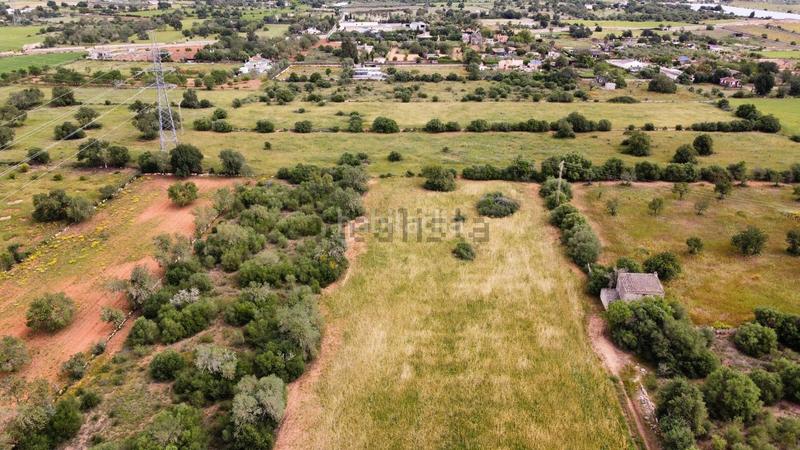 Foto 60293cf2-b1c0-4420-b5ba-479de7d088fe. Terrain résidentiel dans Llucmajor interior Llucmajor