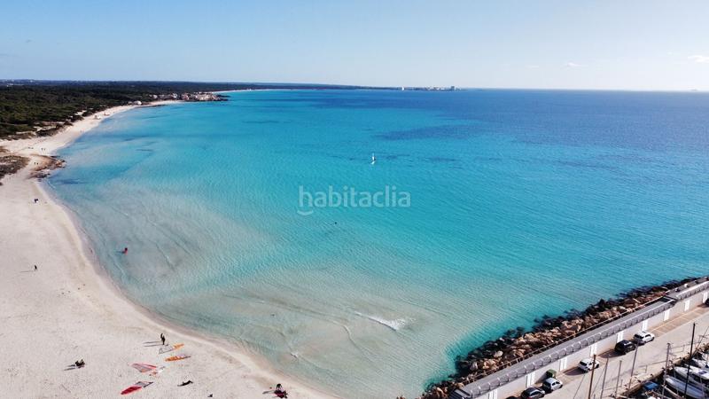 Foto 48d4add2-6a0a-486a-acfe-e2985cedb61f. Affitto piccolo appartamento in son duri in Campos