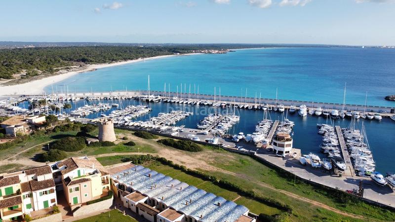 Foto 85389518-e413-4712-819d-674e13ef6acb. Affitto piccolo appartamento in son duri in Campos