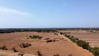 Terreno residenziale in Sa sorda 23. Preciosa terreno rstico a 5 minutos de es trenc