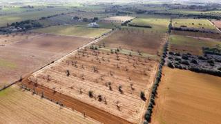Terrain résidentiel à Sa serra. Oportunidad única parcela rústica en campos