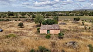 Terreny residencial a Ses comunes 1. Refugio de fin de semana a un paso del centro de campos  parcela