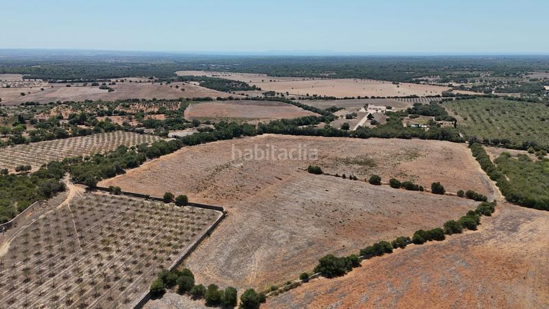 Foto e05def6b-6f3e-434a-943d-3e97cda3c4fd. Masía en campos excepcional conjunto rústico interior en Llucmajor