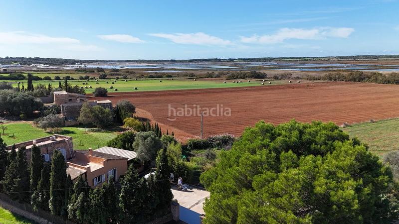 Foto 9a3ede4d-d1e4-4752-a004-f5e06992ca1d. Location mas dans es salobrar dans Campos