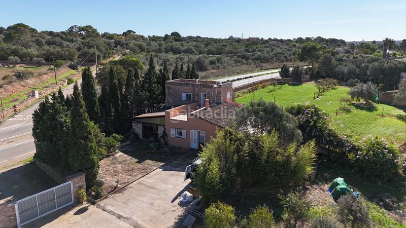 Foto b3775500-fcc2-47d6-a5e4-103183a4ecfd. Location mas dans es salobrar dans Campos