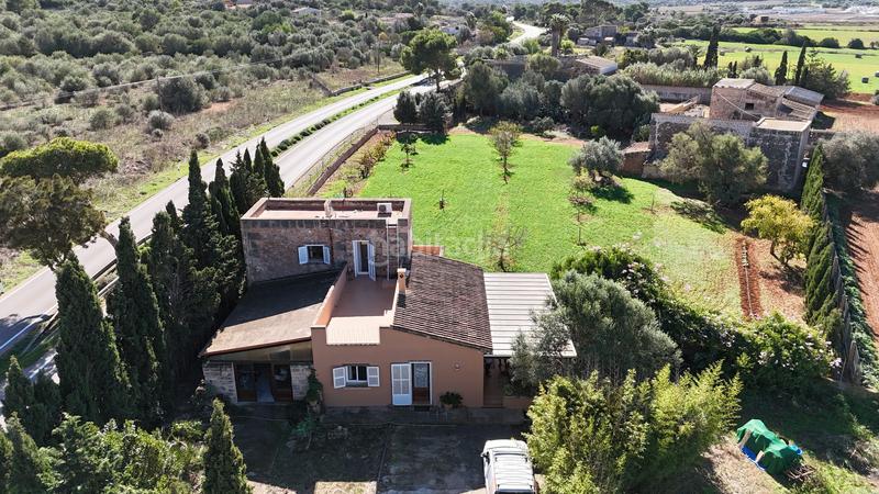 Foto cbdd85ff-4db8-46ea-8d30-276e12765c8f. Location mas dans es salobrar dans Campos