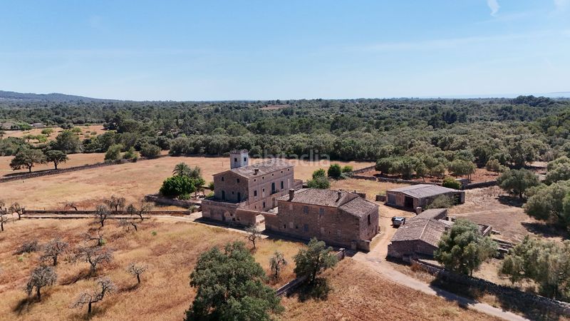 Foto fa496597-4549-4c8a-8f60-0d585cea7e15. Masia a marina a Algaida