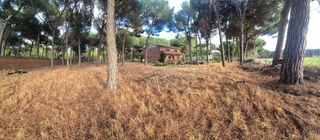 House in Laguna de Duero