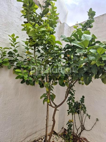 Foto 0dec9795-d660-468e-80c1-bfd3962b4cb1. Semi detached house with parking in Ayuntamiento Alhendín