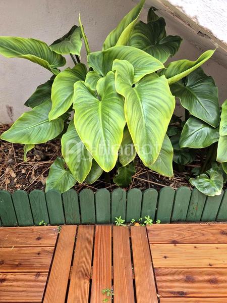 Foto e10cd092-e8d5-4c5f-ad35-2694e58217af. Semi detached house with parking in Ayuntamiento Alhendín