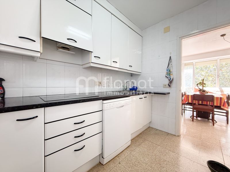 Foto bc46d1c6-f9f6-498c-bc80-ac0f25727e51. Pis a Els Pins Blanes