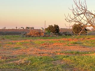 Masia a Huerta de la marquesa 3. Finca rúst. en venta en urbanizaciones  venta el nevero.