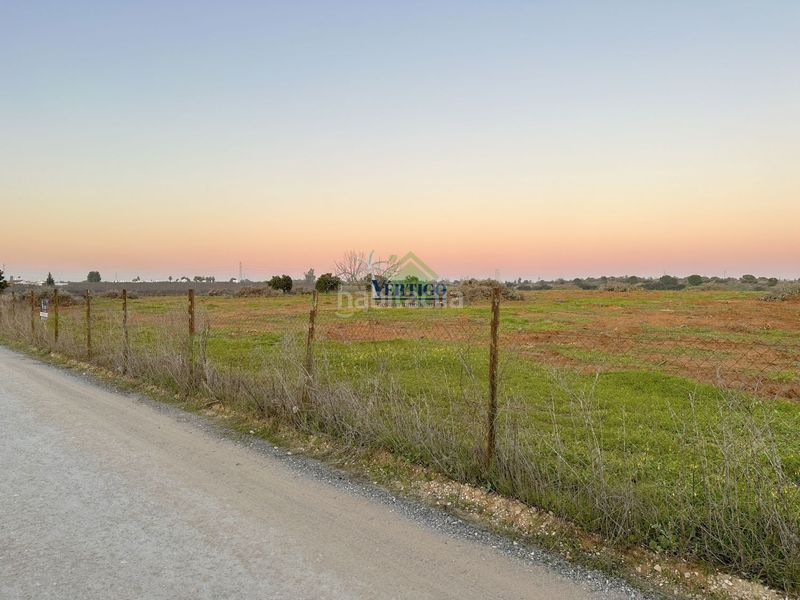 Foto 0a650484-4fa4-44bb-a152-0cbe211550a1. Terreno residenziale in calle huerta de la marquesa 3 in Alcalá de Guadaira