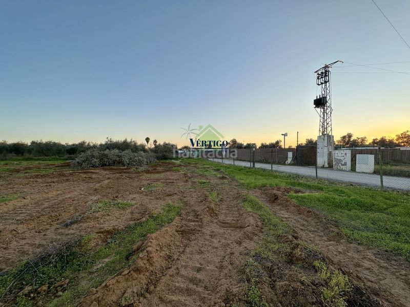 Foto 2fd535f0-d1c6-4e64-95dc-88346adffe71. Terreno residenziale in calle huerta de la marquesa 3 in Alcalá de Guadaira