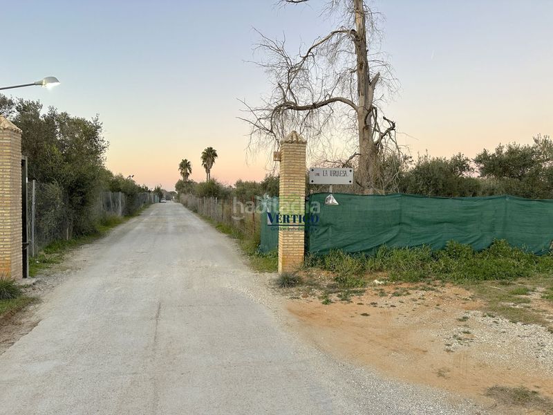 Foto 44952a8d-791d-41a4-ab37-be94694e9a80. Terreno residenziale in calle huerta de la marquesa 3 in Alcalá de Guadaira