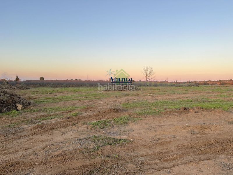 Foto 692985f5-3a6c-4882-be5b-f84536d23337. Terreno residenziale in calle huerta de la marquesa 3 in Alcalá de Guadaira