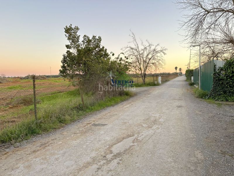 Foto 840845f3-146f-42d4-837b-98e6ff125b50. Terreno residenziale in calle huerta de la marquesa 3 in Alcalá de Guadaira