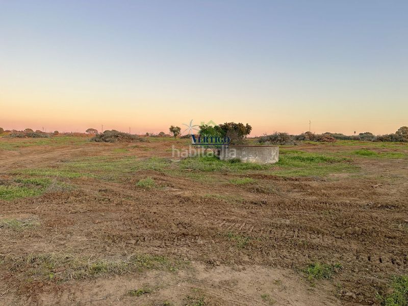 Foto b0e414e3-c04c-4b58-8cd5-583ba83d4271. Terreno residenziale in calle huerta de la marquesa 3 in Alcalá de Guadaira
