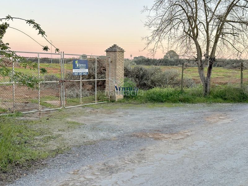 Foto b1988aad-7308-4d8a-b5a0-49cd8a9e9963. Terreno residenziale in calle huerta de la marquesa 3 in Alcalá de Guadaira