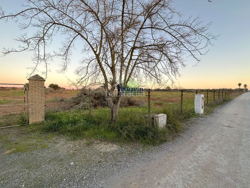 Foto b5b9e93a-3c58-4b2b-af84-3c1e4cecccef. Terreno residenziale in calle huerta de la marquesa 3 in Alcalá de Guadaira