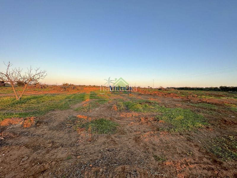 Foto d633e120-d1fa-415d-b028-05fac580f263. Terreno residenziale in calle huerta de la marquesa 3 in Alcalá de Guadaira
