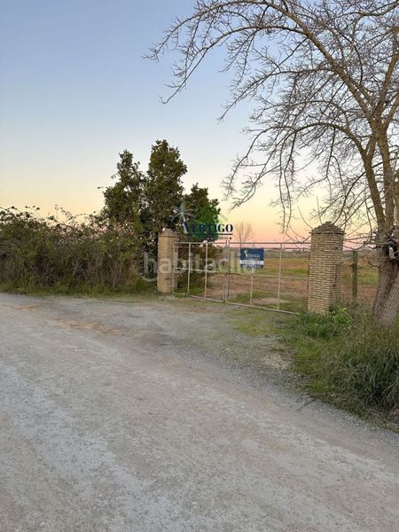 Foto ee132d04-fd64-439a-9388-d12333cca868. Terreno residenziale in calle huerta de la marquesa 3 in Alcalá de Guadaira