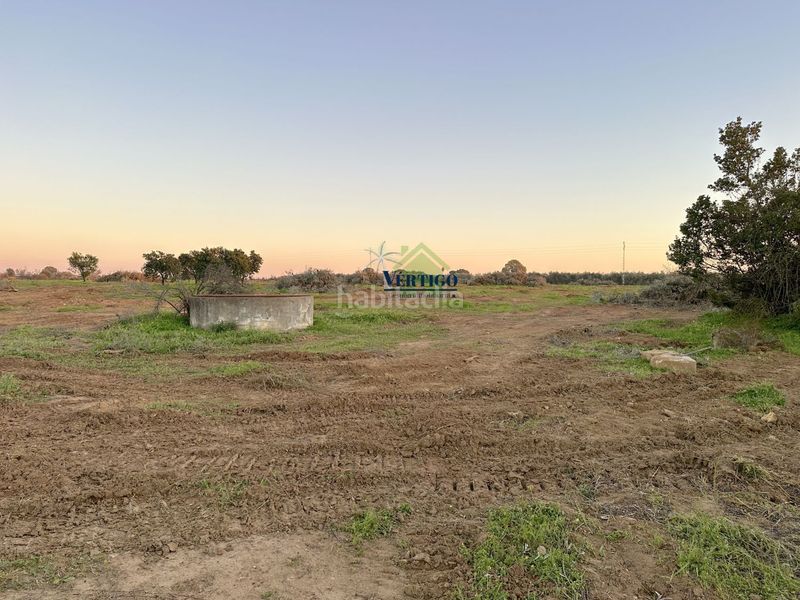 Foto f6c7e1e5-5a12-4215-82a0-10e94b5c40fb. Terreno residenziale in calle huerta de la marquesa 3 in Alcalá de Guadaira