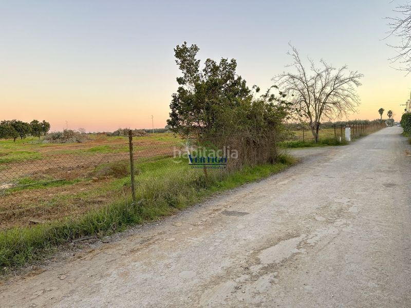 Foto fb8e8d0e-3e79-4f9c-b2f8-ef4511efb6df. Terreno residenziale in calle huerta de la marquesa 3 in Alcalá de Guadaira
