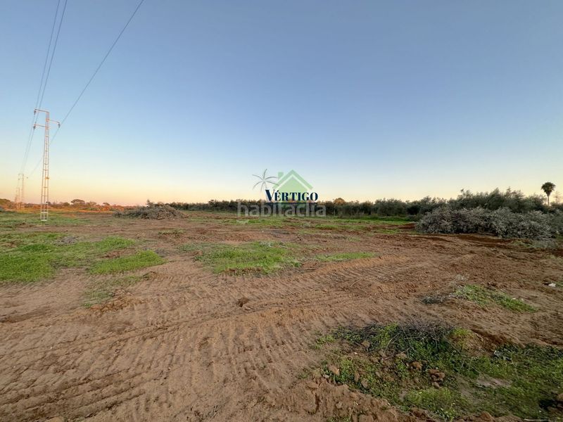 Foto fe32b44f-d9d2-4beb-a1d9-7a35358344f8. Terreno residenziale in calle huerta de la marquesa 3 in Alcalá de Guadaira