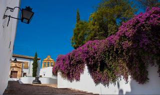 Appartamento  Calle alfaros. Piso en venta en calle alfaros