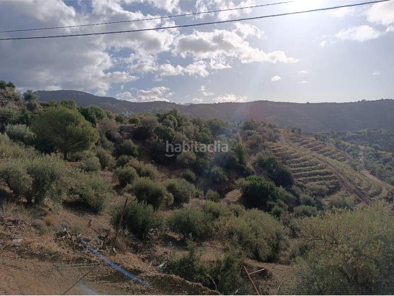 Foto b33c555d-e6c8-4e60-857f-a24e17ecd1d3. Finca rústica a Salares